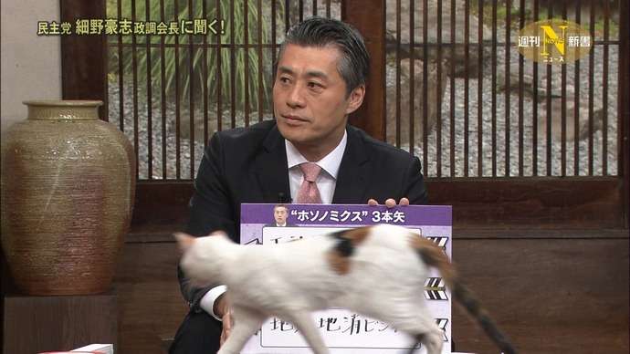 【猫の日】美形ネコ選手権