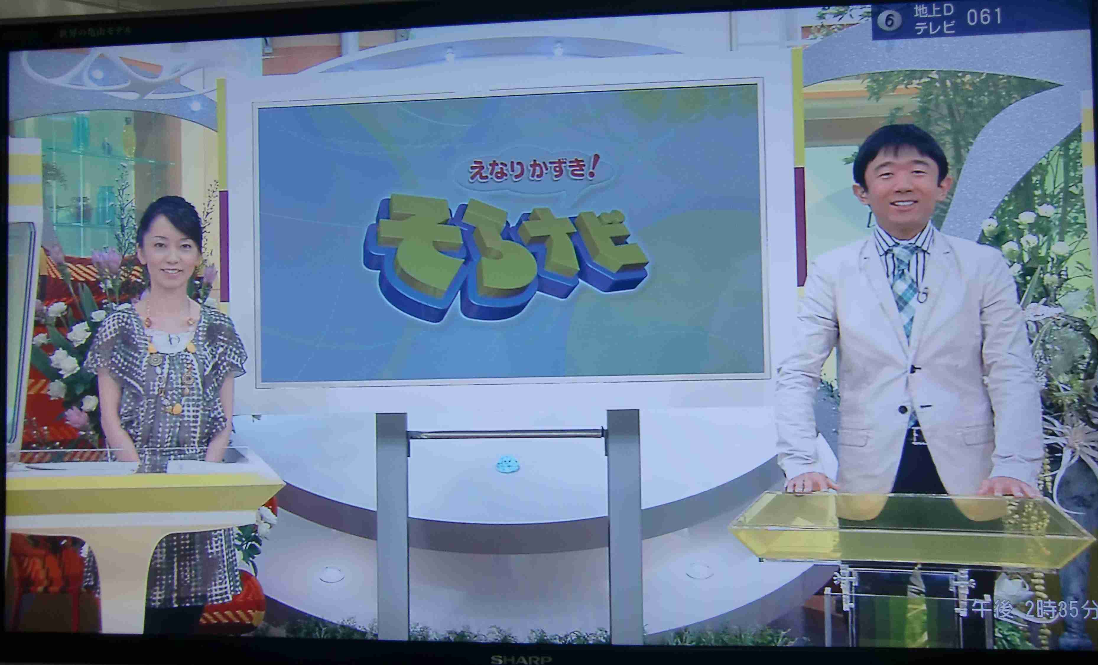 復活してほしい番組