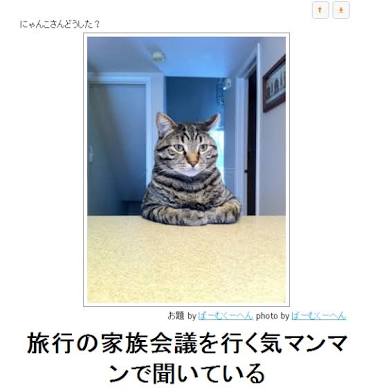 お気に入りのボケてをください