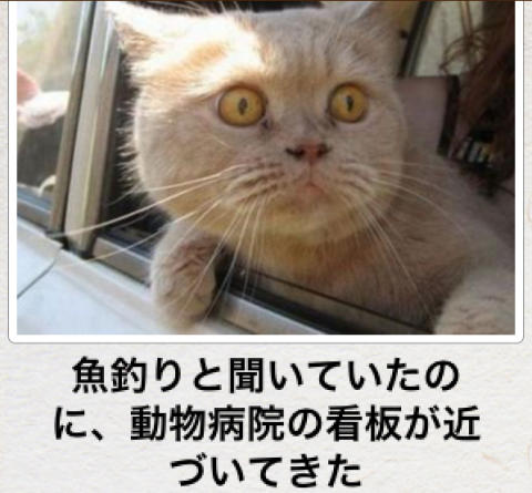 お気に入りのボケてをください