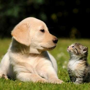 福山雅治の新フジ連ドラ、ヒロインに無名20歳起用で批判噴出…露骨なバーター出演か | ビジネスジャーナル