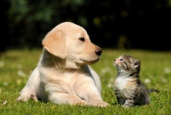 福山雅治の新フジ連ドラ、ヒロインに無名20歳起用で批判噴出…露骨なバーター出演か （Business Journal） - Yahoo!ニュース