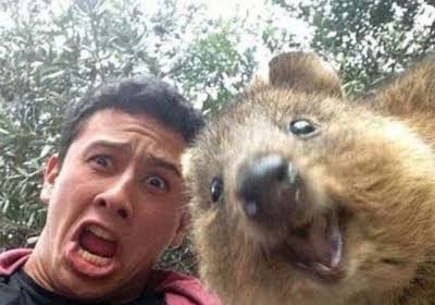 【画像】人間臭い動物鑑賞会