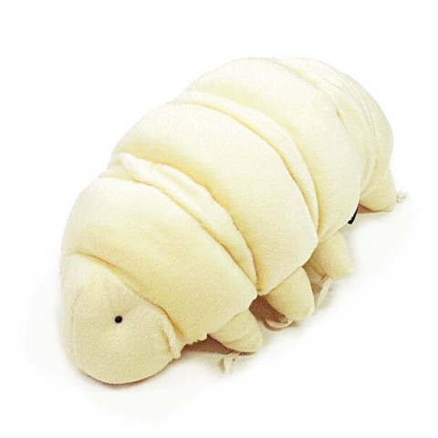 変わってるフェチの人、いますか？