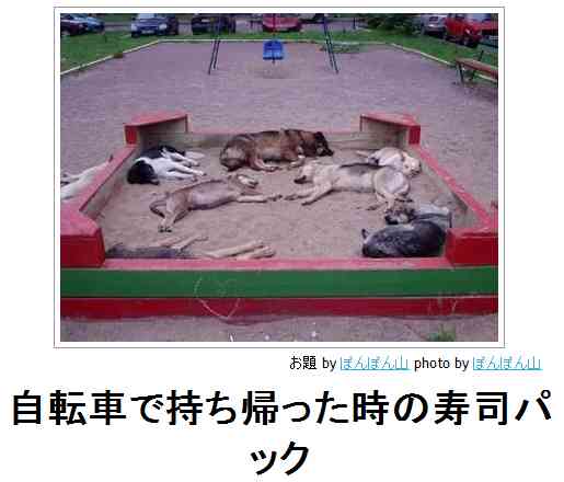 お気に入りのボケてをください
