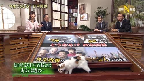 テレ東でお勧めの番組