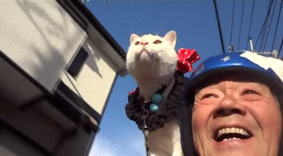 男性+動物の画像を集めよう