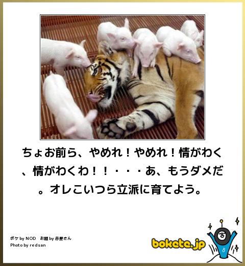 みんなでフレーズ書いて、童話を完成させるトピック