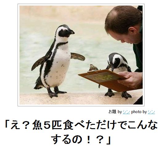 お気に入りのボケてをください