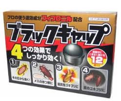 奴(○キブリ)が出た時のエピソード