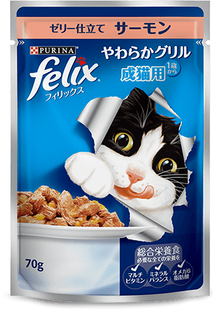 キャットフード何あげてますか？