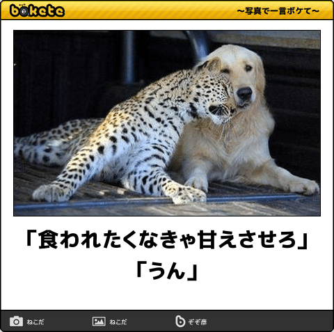昔取った杵柄