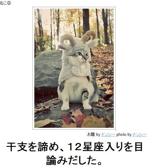 見たら叱りたくなる画像を貼るトピ