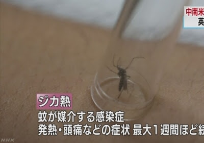 WHO、ジカ熱で緊急事態宣言 成田空港でも注意喚起を強化