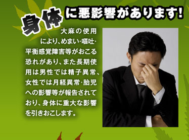 大麻が合法化されたら吸ってみたいですか?