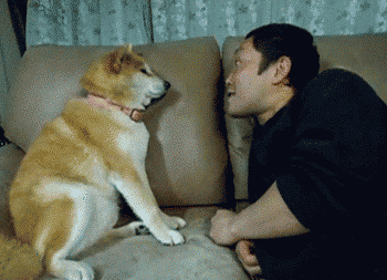 片思いしてる好きな人の好きな所！