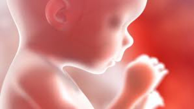 タワーマンション！妊婦流産の確率12倍！行政沈黙の怪！
