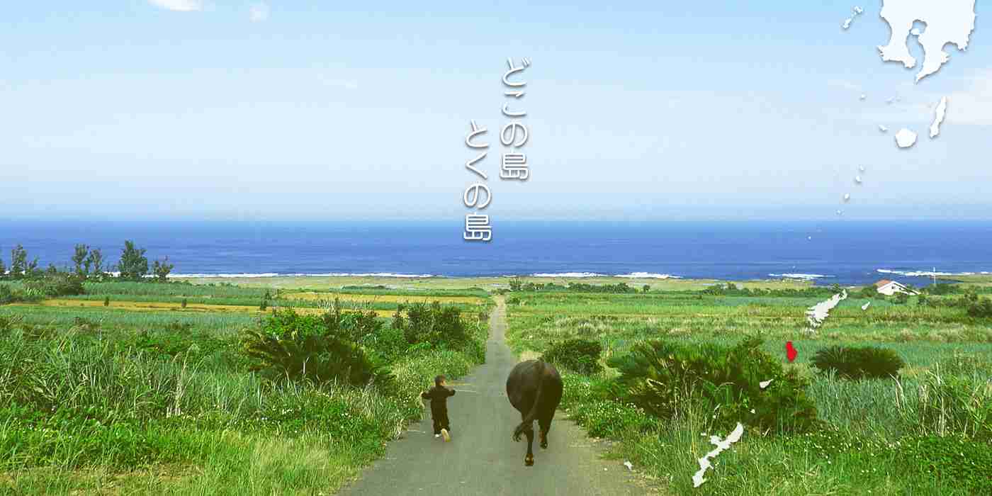 離島が好きな人！！