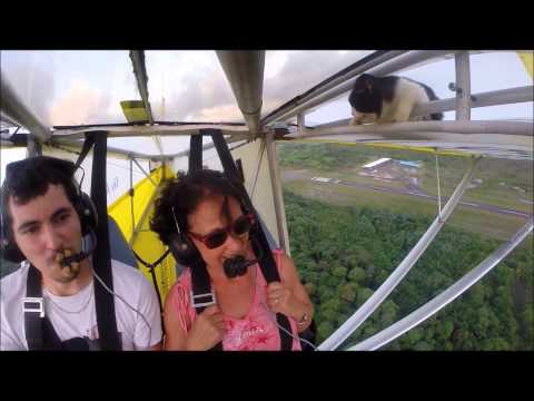 猫が飛行機にwwww　Remove cat before flight - YouTube