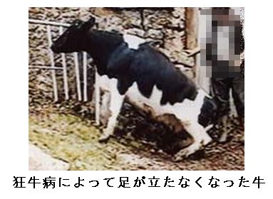 経験したことがある病気に＋