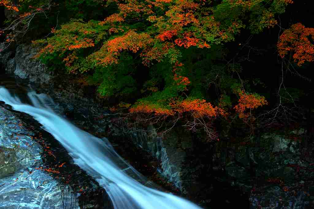 自分の都道府県をPR!