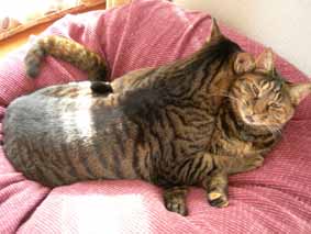 10万円くれると言われたら、やる？やらない？