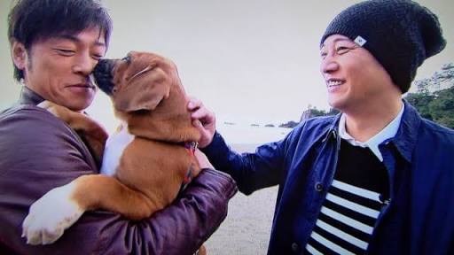 男性+動物の画像を集めよう