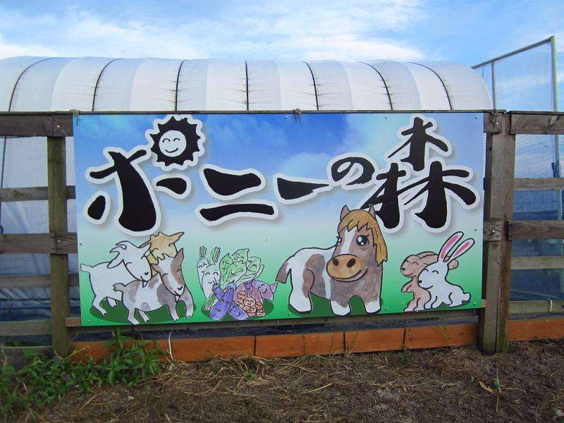 有名人のポニーテール画像を貼るトピ
