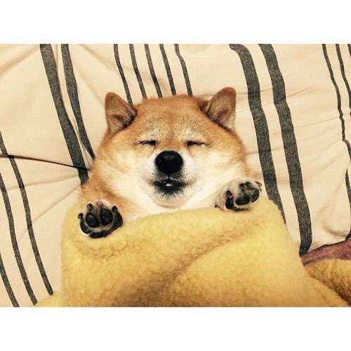 深く心地よい眠りのために