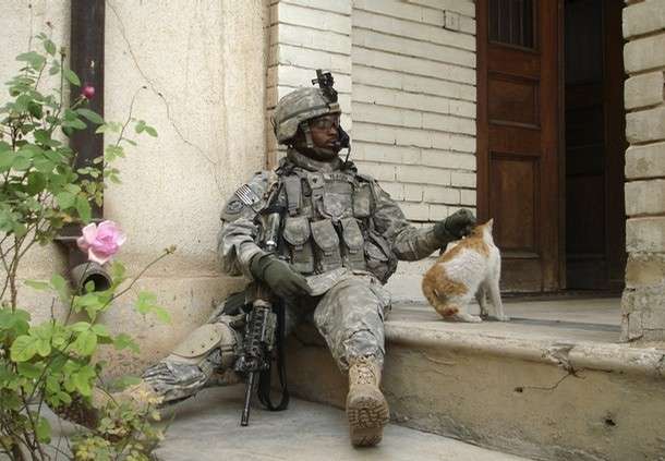 ヘリに閉じ込められた猫、米軍兵士にミルクをもらいながら救出される