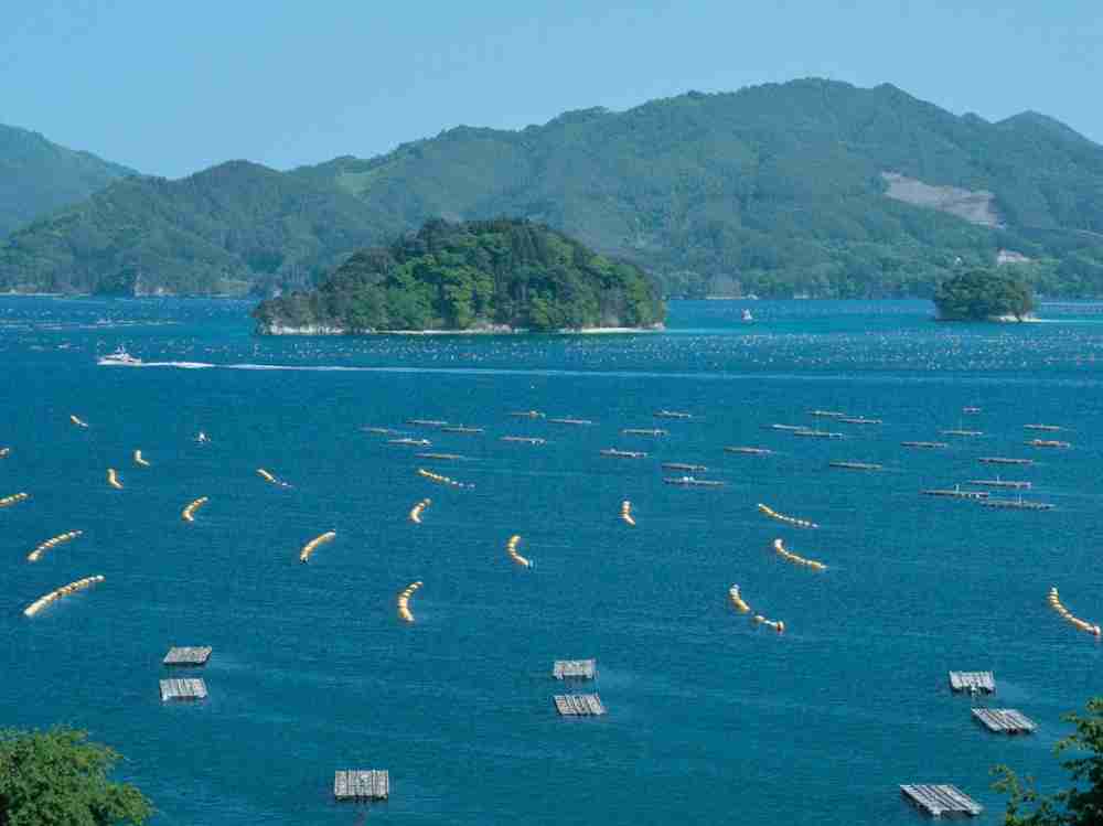 離島が好きな人！！