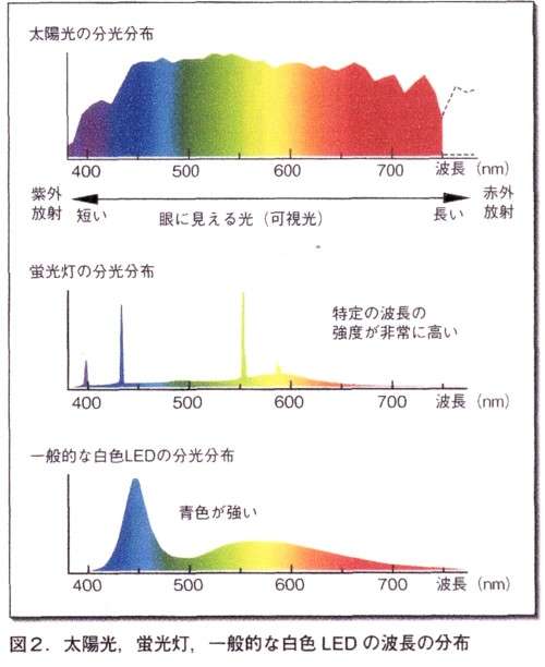 皆さんはどんな電球を使っていますか?