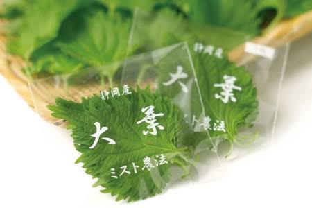 苦手な食べ物