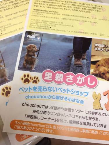 ペット販売をやめたペットショップ「chouchou岡山店」、保健所からの紹介に切り替えた英断が支持されて関連商品の売上が伸びる。