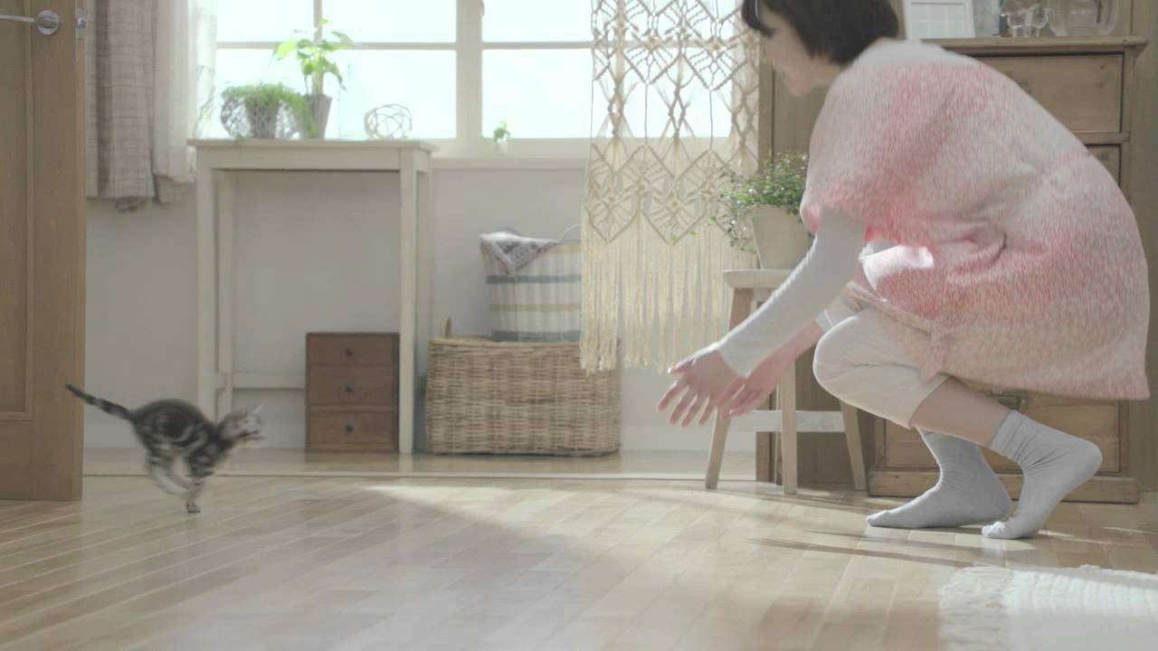 【猫の日】美形ネコ選手権