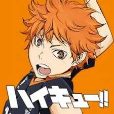 「ハイキュー!!」好きな人