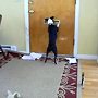Dog patiently waits for mail, immediately tears it to shreds - Rumble