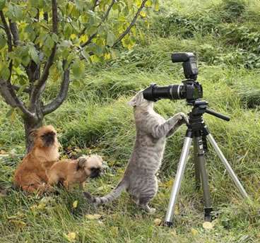 想像以上に過酷だった…動物写真家の努力と苦悩が一瞬でわかる画像