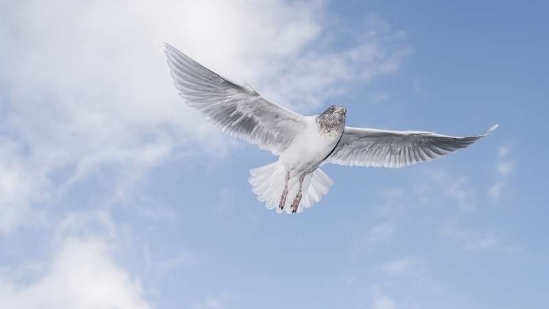 少女はなぜ逃げられなかったか、そしてなぜ逃げられたか：監禁事件から考える心の支配と少女の勇気(碓井真史) - 個人 - Yahoo!ニュース