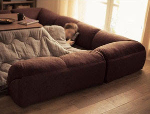 【エロ以外】気持ち良さそうな画像を貼るトピ