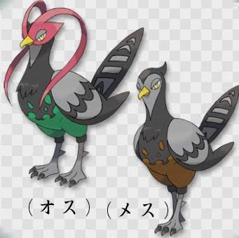 鳩胸にオススメの下着ありますか?