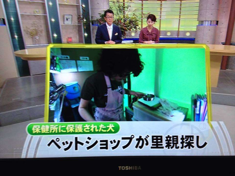 岡山発！！ペットショップで保護犬を譲渡する理想のビジネスモデルが日本でも！！ | 保健所向上委員会