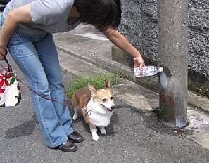 犬の尿原因？支柱腐食見つかる　京都・向日市、交換へ