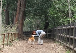 見つめ合って「愛情」ホルモンが増加、人と犬の心の絆を証明!?｜健康・医療情報でＱＯＬを高める～ヘルスプレス/HEALTH PRESS