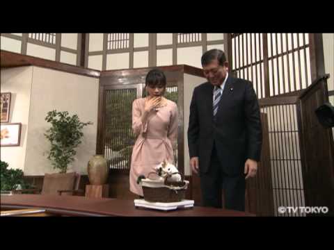 週刊ニュース新書：にゃーにゃの成長記録（2015.1.24）【猫】 【にゃーにゃ】 - YouTube