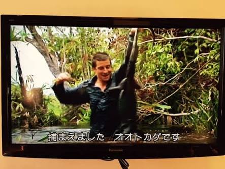 とにかく男らしさを感じる画像ください!