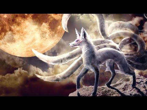 【奇跡】猫がなんか神っぽくなってたww