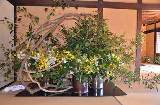 Gacktの いけばな を假屋崎省吾氏が大絶賛 スタジオも驚き ガールズちゃんねる Girls Channel