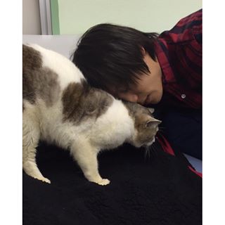 【実況＆感想】火村英生の推理　最終回