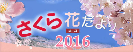 ～公園に行きたくなるサイト～　公園へ行こう！